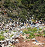 μπαζότοπος εικόνα