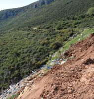 μπαζότοπος εικόνα