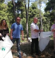 καθαρισμός αιωνόβιου δάσους Διονύσου εικόνα