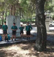 καθαρισμός αιωνόβιου δάσους Διονύσου εικόνα