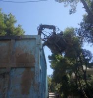 αποκομιδή κηπαίων εικόνα