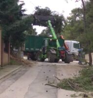 Μήδεια Δήμος Διονύσου εικόνα