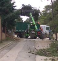 Μήδεια Δήμος Διονύσου εικόνα