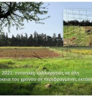 Δημοτική Περιουσία Δήμου Διονύσου