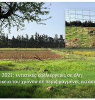Δημοτική Περιουσία Δήμου Διονύσου