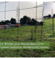 Δημοτική Περιουσία Δήμου Διονύσου