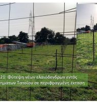 Δημοτική Περιουσία Δήμου Διονύσου