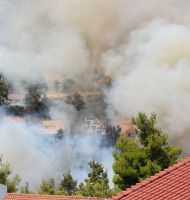 πυρκαγιά Διόνυσος