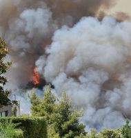 πυρκαγιά Διόνυσος