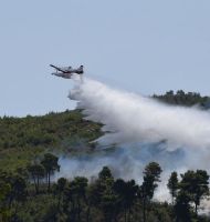 πυρκαγιά Διόνυσος
