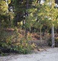 ΔΙΟΝΥΣΙΑ χώρος