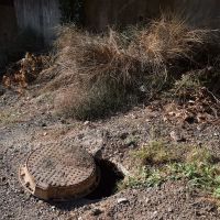 Εικόνες εγκατάληψης - Δημοτική Κοινότητα Διονύσου 2021