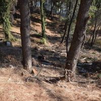 Εικόνες εγκατάληψης - Δημοτική Κοινότητα Διονύσου 2021