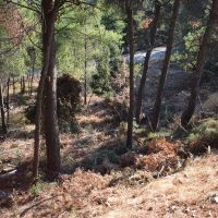 Εικόνες εγκατάληψης - Δημοτική Κοινότητα Διονύσου 2021