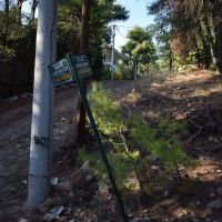 Εικόνες εγκατάληψης - Δημοτική Κοινότητα Διονύσου 2021
